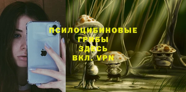 твердый Армянск