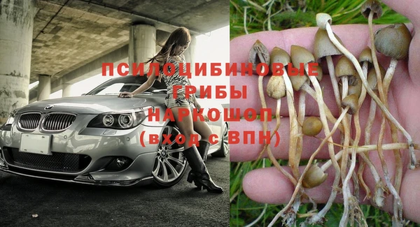 твердый Армянск